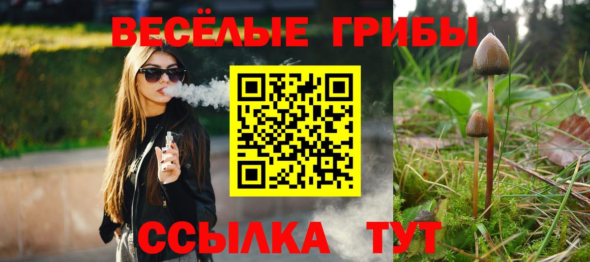 Псилоцибиновые грибы MAGIC MUSHROOMS  Вход с VPN  Ивантеевка  Галлюциногенные грибы GOLDEN TEACHER 